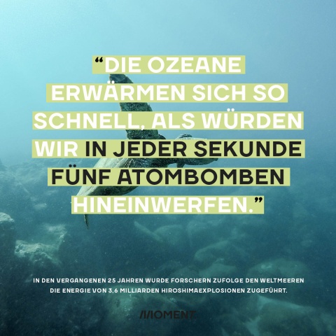 Sharable einer schwimmenden Meereschildkröte, Text:  Die Ozeane erwärmen sich so schnell, als würden wir in jeder Sekunde fünf Atombomben hineinwerfen."