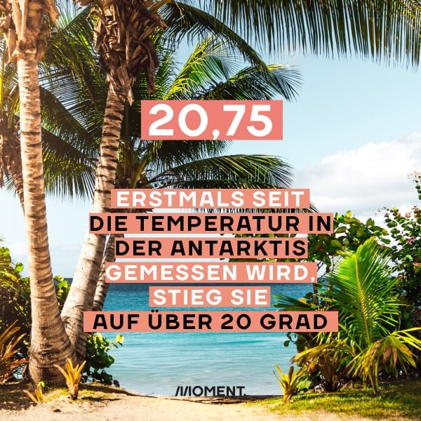 Shareable zeigt einen tropischen Sandstrand mit Palmen und blauem Meer. Text: Erstmals seit dem Temperaturrekord in der Antarktis gemessen werden, stieg diese über 20 Grad.