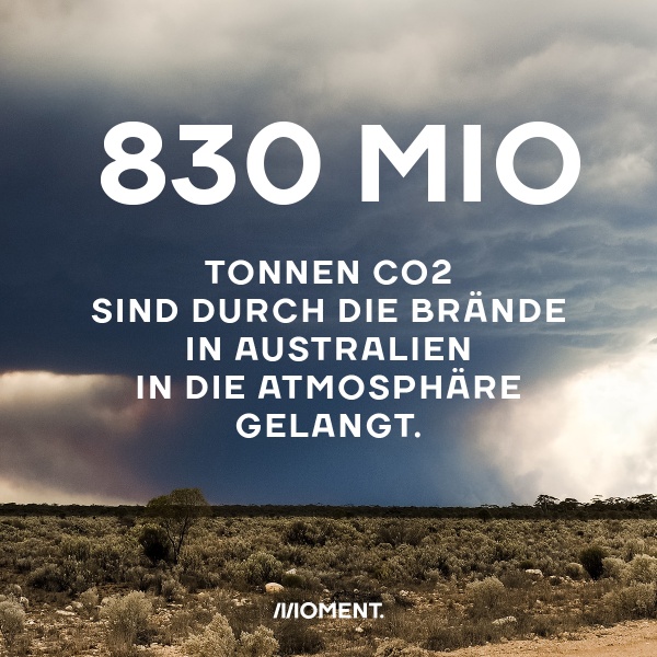 Foto zeigt eine Steppenlandschaft über die Rauchschwaden dahin ziehen. Text: Infolge der Brände sind zwischen September 2019 und Februar 2020 rund 830 Millionen Tonnen CO2 in die Atmosphäre gelangt.