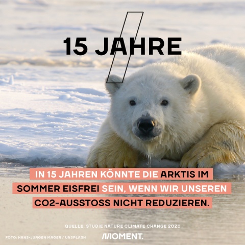 Ein Eisbär sitzt auf einer Eisscholle, von seiner Schnauze tropft Wasser und er blickt direkt in die Kamera. Text: In 15 Jahren könnte die Arktis im Sommer Eisfrei sein, wenn wir unseren CO2-Ausstoß nicht reduzieren. 