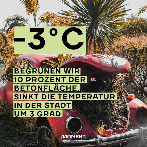 Zu sehen ist ein altes Auto in dessen Motorhaube Pflanzen wachsen. Text: Würden wir 10 Prozent der Betonfläche begrünen, sänke die Temperatur in der Stadt um 3 Grad.