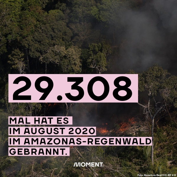 Zu sehen ist eine Luftaufnahme des Amazonas, Waldbrände verwüsten den Regenwald. Im August 2020 hat es im Amazonas-Regenwald 29.308 mal gebrannt.