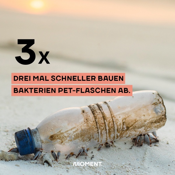 Eine leere Plastikflasche am Strand. 3x schneller bauen Bakterien PET-Flaschen ab.