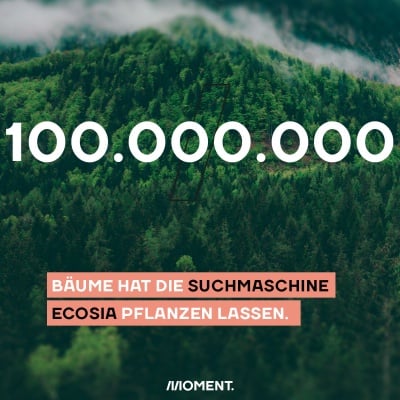 Shareable zeigt einen Nadelwald aus der Vogelperspektive. Text: 100.000.000 Bäume hat die Suchmaschine Ecosia pflanzen lassen.