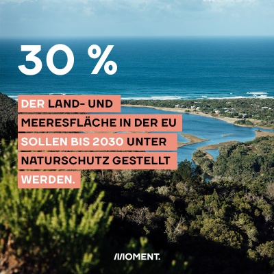 Ein Wald an der Küste, darüber der Text: 30% der Land- und Meeresfläche in der EU sollen bis 2030 unter Schutz gestellt werden - derzeit sind es nur rund 18 Prozent