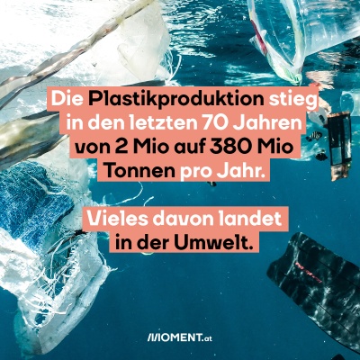 Die Plastikproduktion stieg in den letzten 70 Jahren von 2 Mio auf 380 Mio Tonnen pro Jahr. Vieles davon landet in der Umwelt