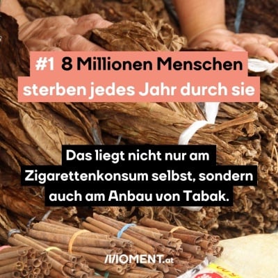 #1 8 Millionen Menschen sterben jedes Jahr durch sie