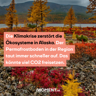 Die Klimakrise zerstört die Ökosysteme in Alaska. Der Permafrostboden in der Region taut immer schneller auf. Das könnte viel CO2 freisetzen.