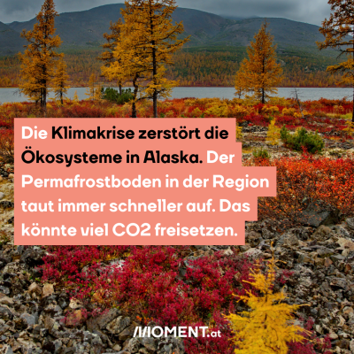  Die Klimakrise zerstört die Ökosysteme in Alaska. Der Permafrostboden in der Region taut immer schneller auf. Das könnte viel CO2 freisetzen.