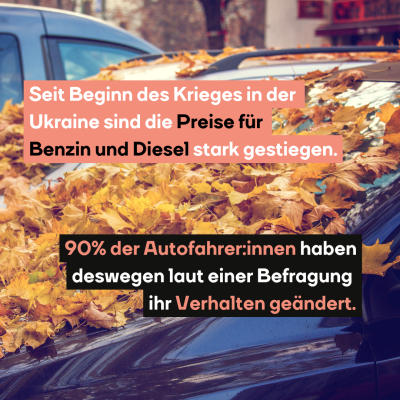 Auf einem Auto liegt eine Menge gelben Laubs