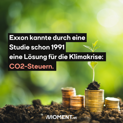 4 Münzstapel liegen auf der Erde. Im Hintergrund sind verschwommen Pflanzen wahrnehmbar. Auf einem Stapel liegt ein kleiner Haufen Erde, aus dem ein Sprößling herauswächst. "Exxon wusste durch eine Studie schon 1991 eine Lösung für die Klimakrise: CO2-Steuern. "