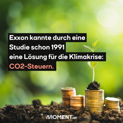 4 Münzstapel liegen auf der Erde. Im Hintergrund sind verschwommen Pflanzen wahrnehmbar. Auf einem Stapel liegt ein kleiner Haufen Erde, aus dem ein Sprößling herauswächst. "Exxon wusste durch eine Studie schon 1991 eine Lösung für die Klimakrise: <span class=