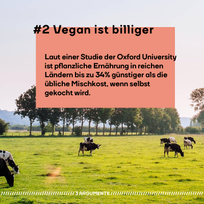 #2 Vegan ist billiger: Laut einer Studie der Oxford University ist pflanzliche Ernährung in reichen  Ländern bis zu 34% günstiger als die  übliche Mischkost, wenn selbst  gekocht wird.