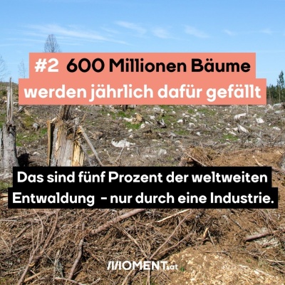 #2 600 Millionen Bäume werden jedes Jahr dafür gefällt