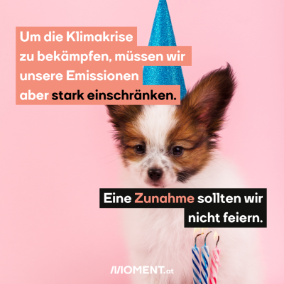 Ein kleiner weiß-brauner Hund blickt in die Kamera. Er trägt einen blauen Partyhut, vor ihm sieht man ausgeblasene Kerzen. "Um die Klimakrise einzudämmen und die Pariser Klimaziele zu erreichen, müssen wir unsere Emissionen aber stark einschränken. Eine Zunahme sollten wir nicht feiern."