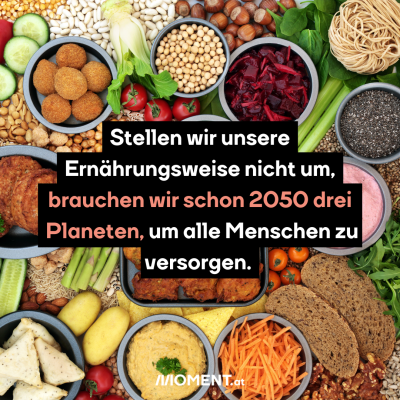  Stellen wir unsere   Ernährungsweise nicht um, brauchen wir schon 2050 drei Planeten, um alle Menschen zu versorgen. Man sieht Gemüse und Hülsenfrüchte in Schüsseln.