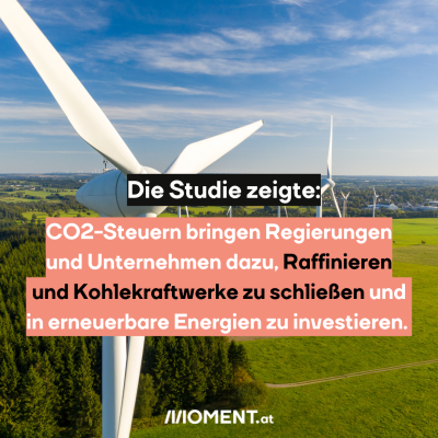 Eine Landschaft mit mehreren Windrädern. "Die Studie zeigte: CO2-Steuern bringen Regierungen und Unternehmen dazu, Raffinieren zu schließen und in Erneuerbare Energien zu investieren."