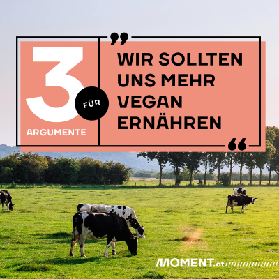 3 Argumente für "Wir sollten uns mehr vegan ernähren"