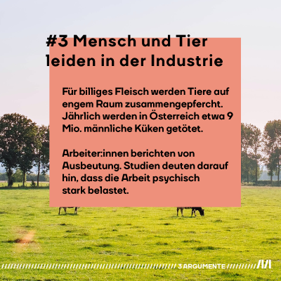 #3 Mensch und Tier leiden in der Industrie: Für billiges Fleisch werden  Menschen in der Erzeugung oft mit schlechten  Arbeitsbedingungen und Löhnen  ausgebeutet.   Und die Tiere werden unwürdig  behandelt, auf engstem Raum  zusammengepfercht. Jährlich 9 Mio. männliche Küken in Österreich werden etwa einfach getötet, weil sie nicht wirtschaftlich „verwertbar“ sind.