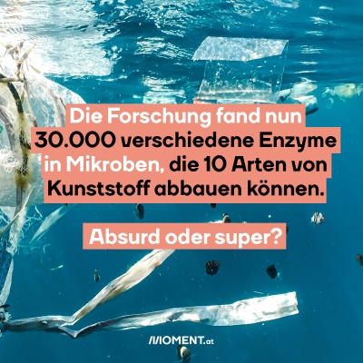 Forscher:innen fanden nun 30.000 verschiedene Enzyme in Mikroben, die 10 Arten von Kunststoff abbauen können