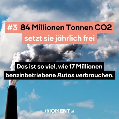 #3 84 Millionen Tonnen CO2 setzt sie jährlich frei