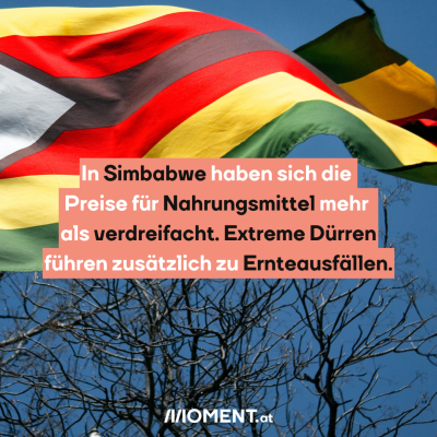 Die Flagge von Simbabwe weht im Wind, dahinter sieht man nackte Bäume