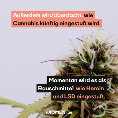 Außerdem wird überdacht, wie Cannabis künftig eingestuft wird.