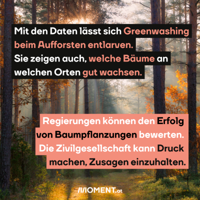 Wald im Herbst, dazu der Text: Mit den Daten lässt sich <span class=