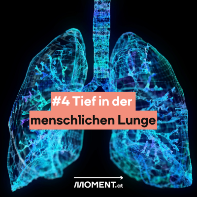 Eine Computersimulation einer Lunge in blauen Farben auf schwarzem Hintergrund. “#4 Tief in der menschlichen Lunge”