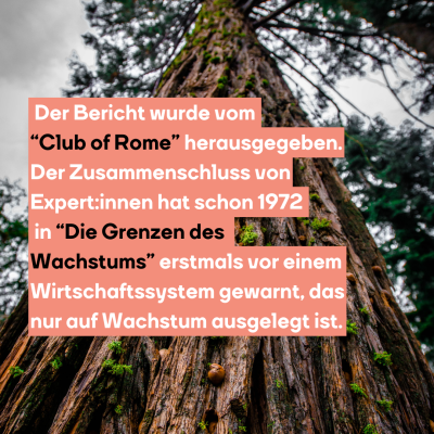 Die Studie wurde vom “Club of Rome” herausgegeben. Der Zusammenschluss von Expert:innen hat schon 1972 in “Die Grenzen des Wachstums” erstmals vor einem Wirtschaftssystem gewarnt, das nur auf Wachstum ausgelegt ist.