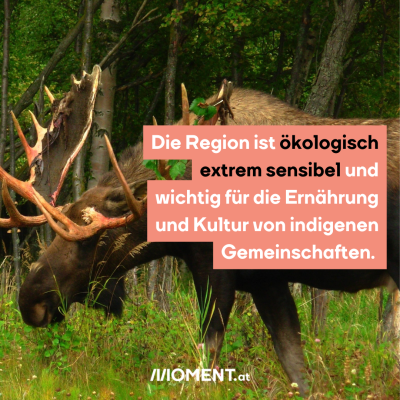 Die Region ist ökologisch extrem sensibel und wichtig für die Ernährung und Kultur von indigenen Gemeinschaften. 