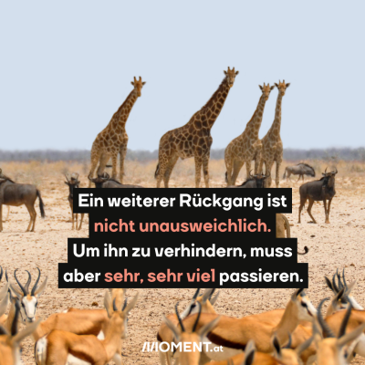 Ein weiterer Rückgang ist nicht unvermeidlich