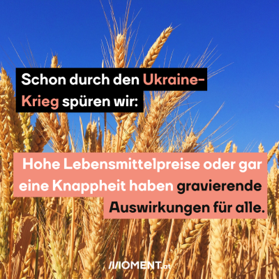 Schon durch den Ukraine-Krieg spüren wir:  Hohe Lebensmittelpreise oder gar eine Knappheit haben gravierende Auswirkungen für alle. Man sieht ein Weizenfeld.