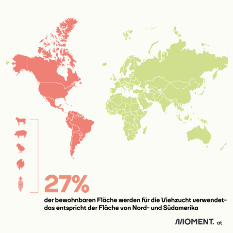 Fleischkonsum in Österreich: So viel Fläche brauchen wir für Viehzucht weltweit