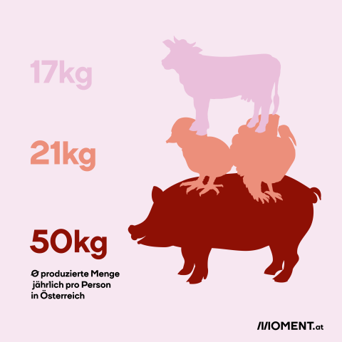 Fleischkonsum in Österreich: Dieses Fleisch essen wir pro Jahr