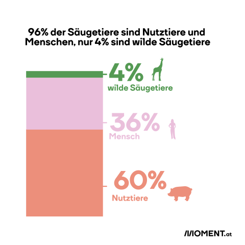 Fleischkonsum in Österreich: So viele Säugetiere gibt es
