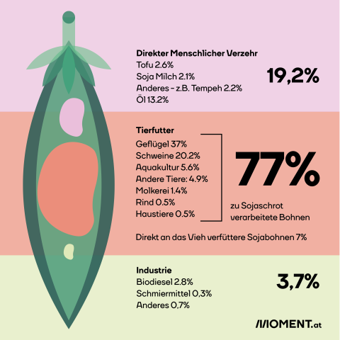 Fleischkonsum in Österreich: So viel Soja wird produziert