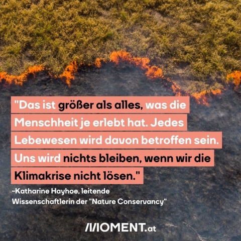 "Das ist größer als alles, was die Menschheit je erlebt hat. Jedes Lebewesen wird davon betroffen sein. Uns wird nichts bleiben, wenn wir die Klimakrise nicht lösen