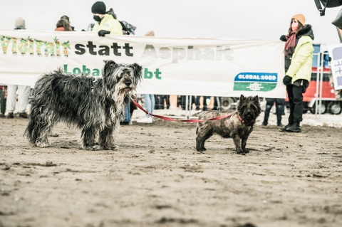 Protestcamp-Räumung: Auch Hunde demonstrieren mit