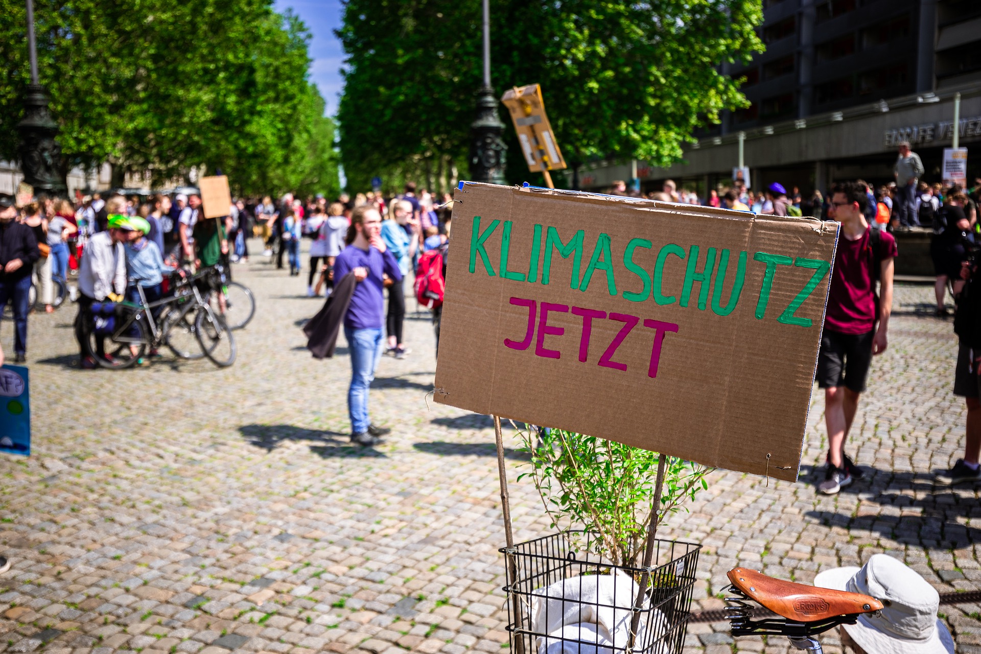 Schriftzug Klimaschutz jetzt auf einem Pappkarton.