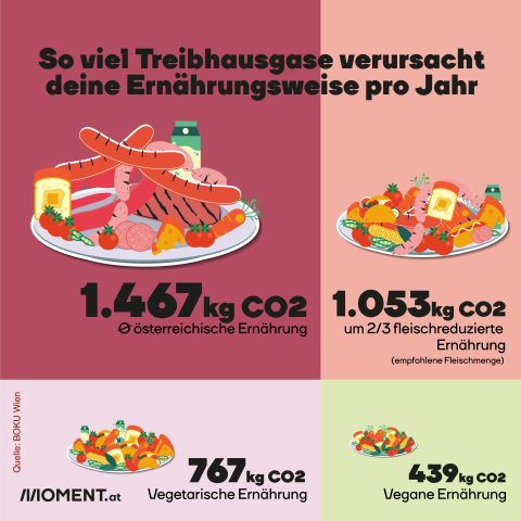 Weniger Fleisch Essen: So viel CO2 verbraucht deine Ernährungsweise