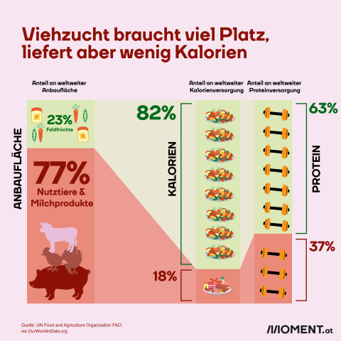 Weniger-Fleisch-Essen: Viehzucht verbraucht viel Platz und bringt weniger Kalorien