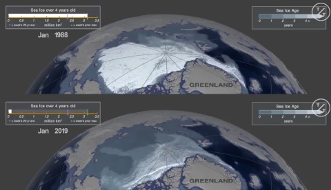 Vergleichskarte die den Rückgang des mehr als vier Jahre altes Eises in der Arktis zwischen 1988 und 2019 zeigt. Der Eisschwund ist klar erkennbar.