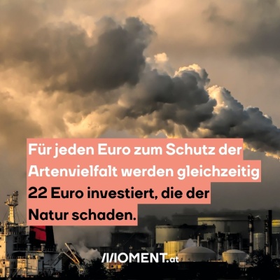 Rauchschwaden einer Fabrik sind zu sehen. Bildtext: "Für jeden Euro zum Schutz der Artenvielfalt werden gleichzeitig 22 Euro investiert, die der Natur schaden."