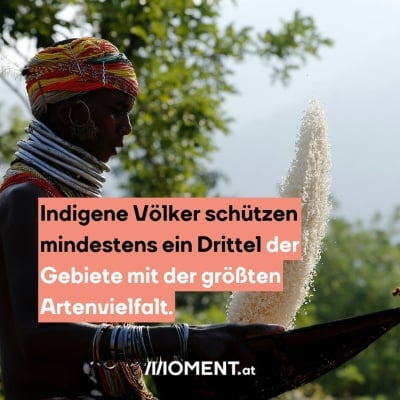 Eine Indigene Person ist zu sehen. Bildtext: "Indigene Völker schützen mindestens ein Drittel der Gebiete mit der größten Artenvielfalt."