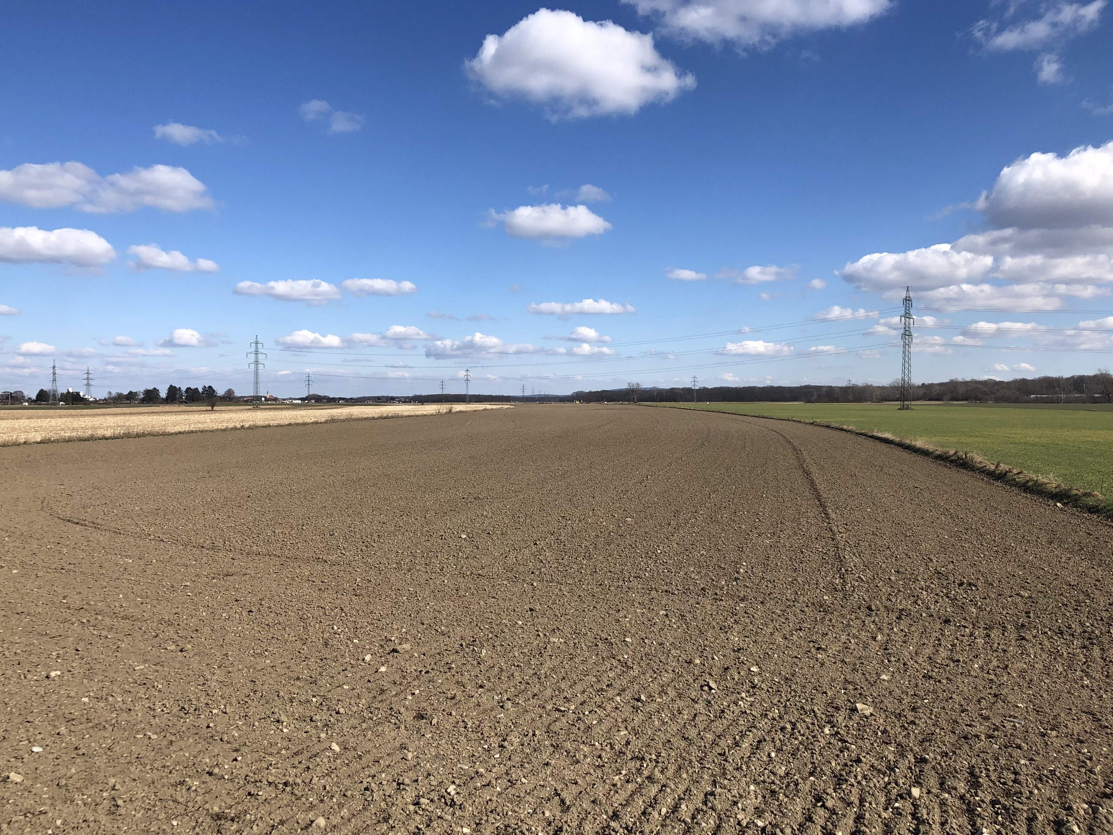 Foto von braunen Äckern bei blauem Himmel, dort, wo die Ostumfahrung Wiener Neustadt gebaut werden soll.