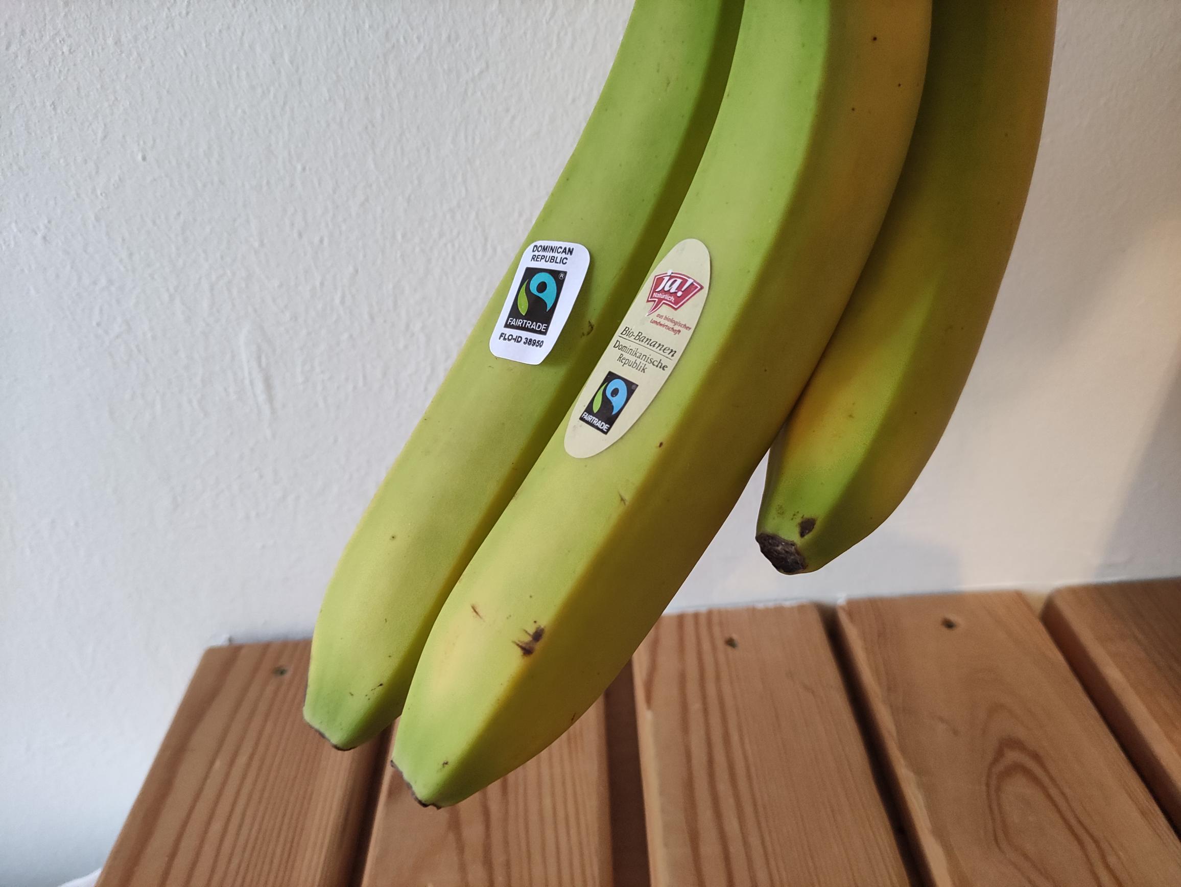 Auf drei Bananen ist ein Fairtrade-Siegel geklebt.