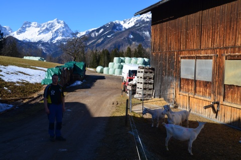 Ein Mann in Arbeitskleidung neben einem kleinen Gehege mit vier Ziegen, im Hintergrund Berge und Wald