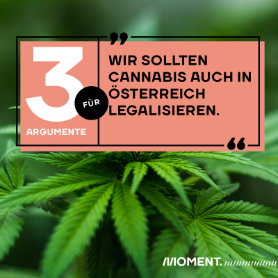 3 Gründe, warum wir auch in Österreich Cannabis legalisieren sollten