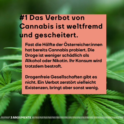 Nummer 1: Das Verbot von Cannabis ist weltfremd und gescheitert